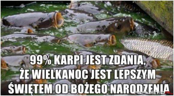 Lepsze święto