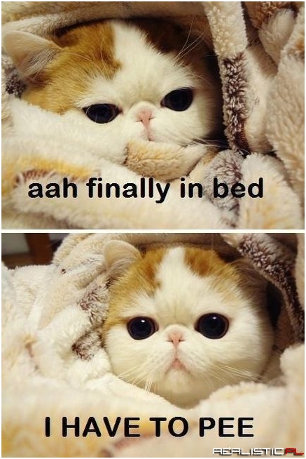 Aah finally in bed, but have to pee...