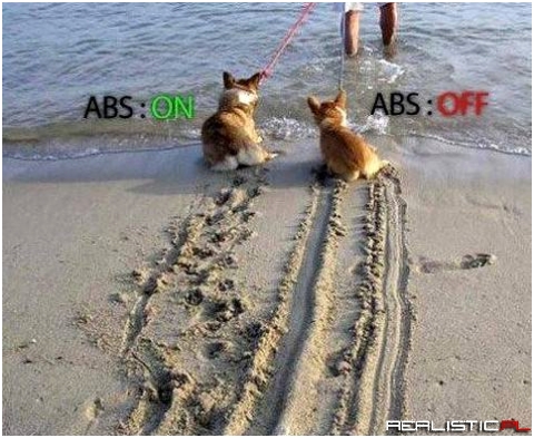 ABS