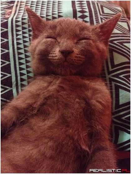 Alan always has a smile on his face