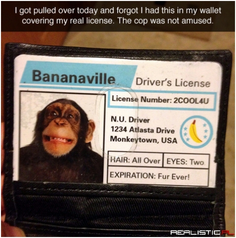 Bananaville
