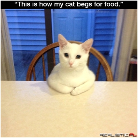 Begs for food