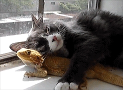 Best friends