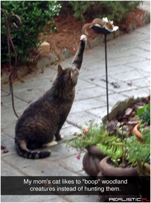 Boop