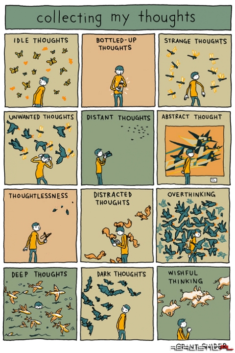 Collecting my thoughts