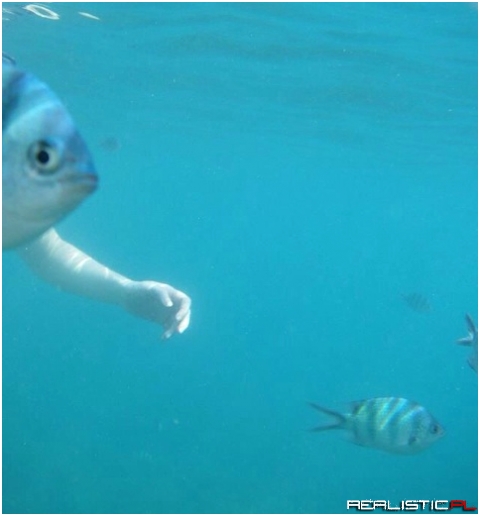 Come back here, son