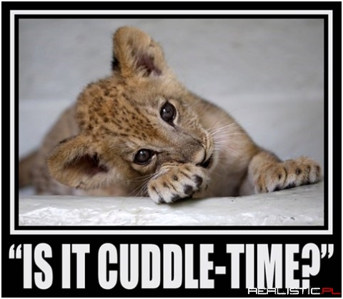 Cuddle time