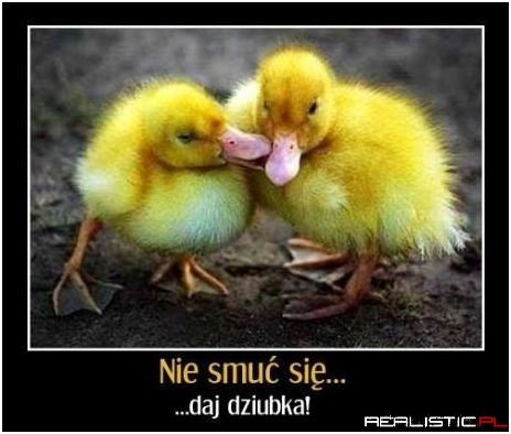 Daj dziubka