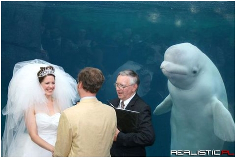 Dang, that bridesmaid