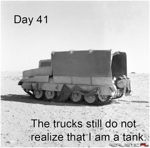 Day 41