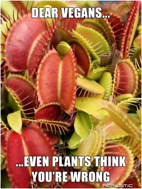 Dear vegans