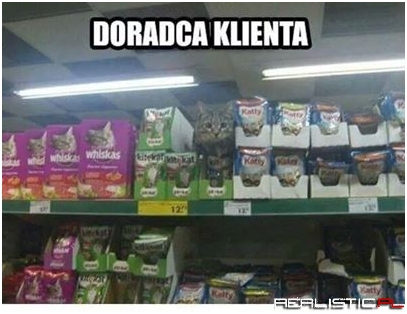 Doradca klienta
