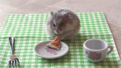 Eating pizza