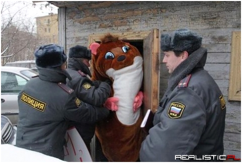 Free him