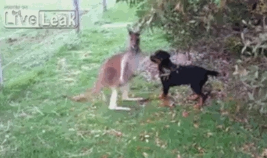 Friends