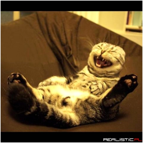 Funny