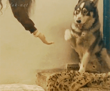 Give me five