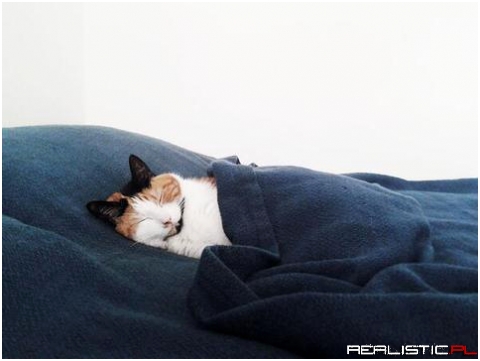Goodnight