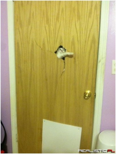 Heard you were talkin' shit