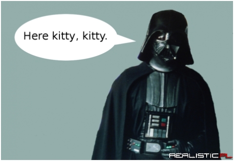 Here kitty