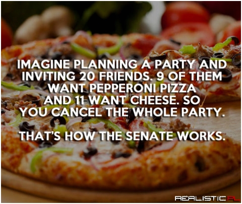 How the US Government works