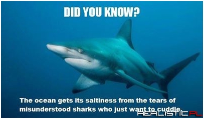 I did not know that