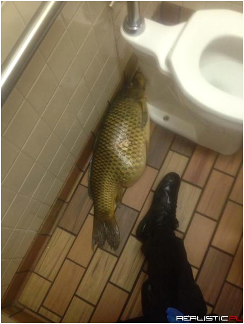 I found it in the McDonald