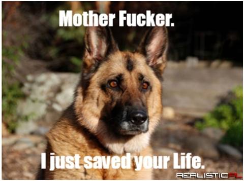 I just saved your life