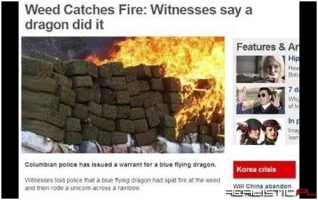 I swear, it was a dragon!