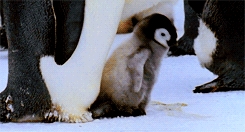 I walk, wooohooo!