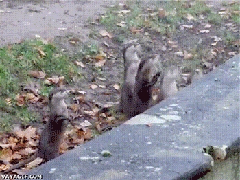 Jumping