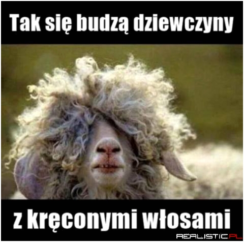 Kręcone włosy