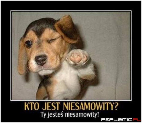 Kto jest niesamowity