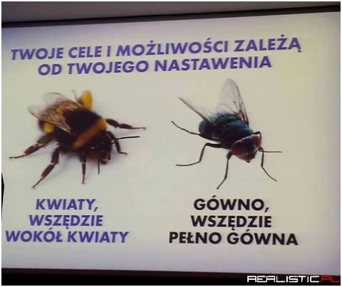 Kwestia nastawienia