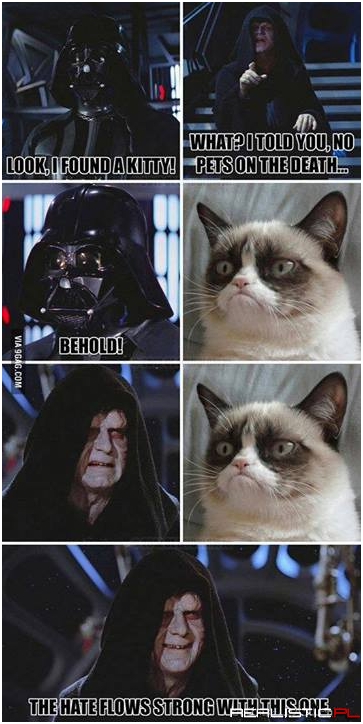 Look...