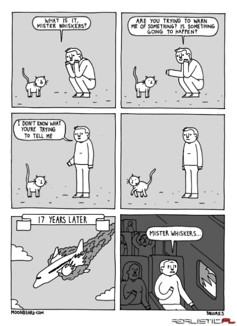Mister whiskers