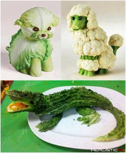 Mom! I want a pet!