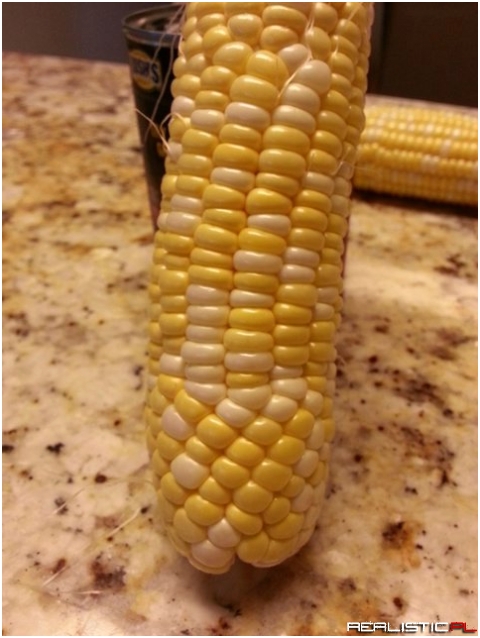 My ear of corn changed its pattern 3-4 down