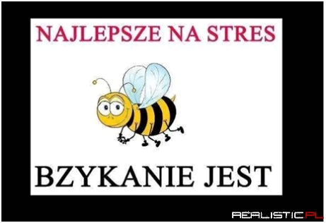 Najlepsze na stres