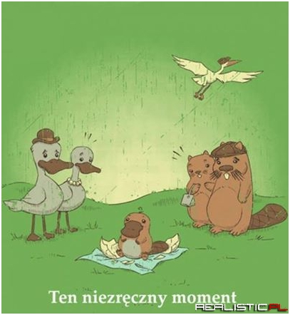 Niezręczny moment