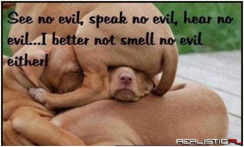 No evil