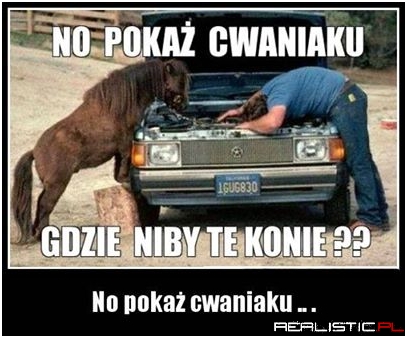 No pokaż cwaniaku