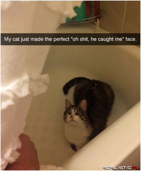 Oh shit