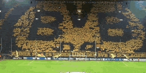 Oprawa BVB