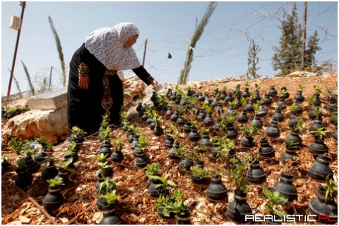 Palestinian lady collects gas bombs fired by Israeli army