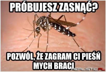 Pieśń mych braci