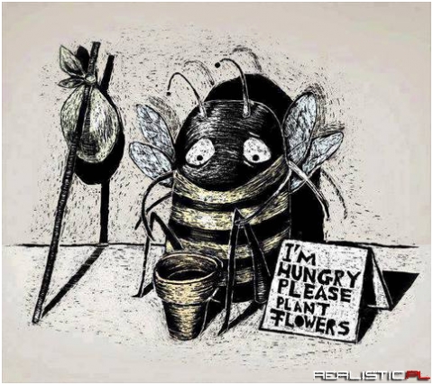 Please plant flowers