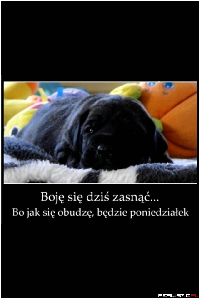 Poniedziałek