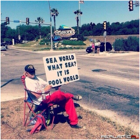 Pool World