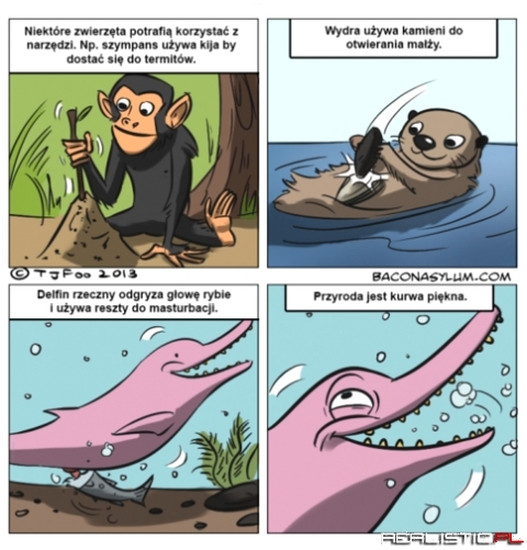 Przyroda jest piękna